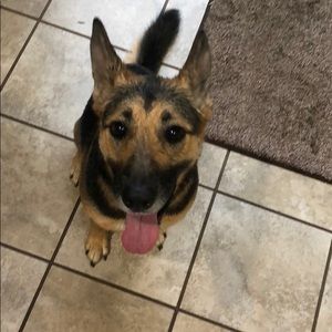 Meet your Posher, Zach